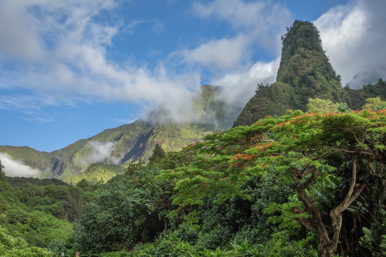Central Maui Hostel Wailuku Екстериор снимка